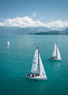Several sailing boats glide across the clear Lake Thun under a bright blue sky, surrounded by majestic Alps. The image conveys team spirit and adventure – ideal for business events, incentives or team building in an inspiring, natural setting. @Segelschule Thunersee Sailing on Lake Thun