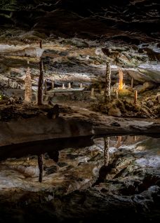 Unterirdische Höhlenlandschaft mit Tropfsteinen, warmem Licht und Wasserbecken – ein besonderer Ausflugs- und Teambuilding-Spot nahe Thunersee. ©St. Beatushöhlen Stimmungsvolle Tropfsteinhöhle mit beleuchteten Stalagmiten und Spiegelung
