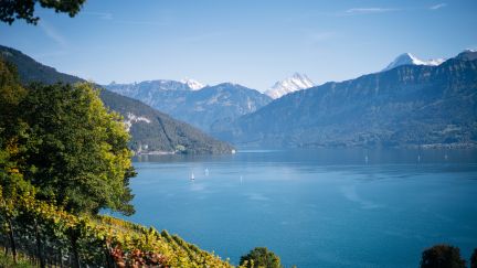 Wide, tranquil view over Lake Thun framed by green hillside foliage in the foreground and the Swiss Alps on the horizon under a clear blue sky. Ideal visual for inspiring corporate retreats, meetings and incentive events in the Thunersee region, Canton Bern. Lake Thun Panorama View