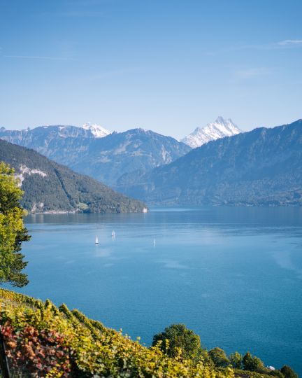 Blick auf den Thunersee und Alpenpanorama