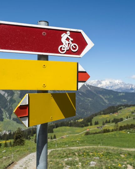 Mehrere Wegweiser stehen auf einer grünen Bergwiese mit Blick auf verschneite Alpen und bewaldete Hänge. Ein rotes Schild mit Fahrradsymbol zeigt Mountainbike-Wege an. Perfekte Umgebung für Outdoor-Aktivitäten und Teamevents rund um den Thunersee. Wegweiser in den Schweizer Alpen