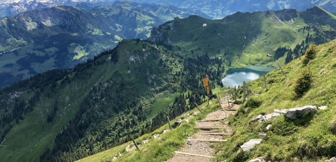 Bergwanderweg mit Holzstufen und Blick auf See und Alpen bei Thunersee